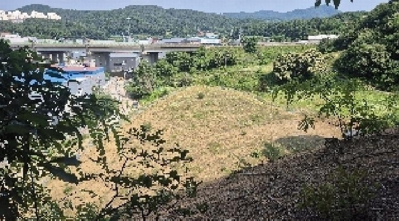 2025타경11809 충청남도 천안시 동남구 목천읍 삼성리 산51 임야 경매 이미지