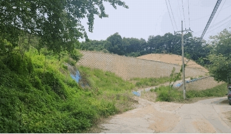 2025타경11809 충청남도 천안시 동남구 목천읍 삼성리 산51 임야 경매 이미지