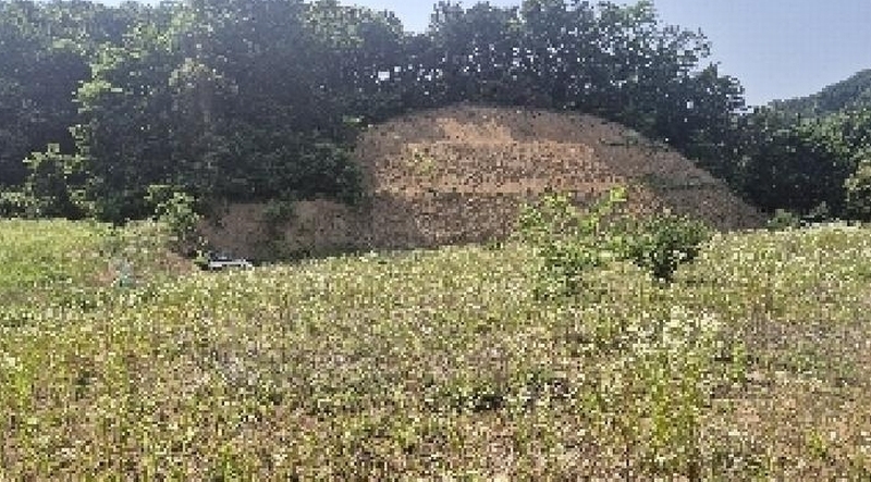 2025타경11809 충청남도 천안시 동남구 목천읍 삼성리 산51 임야 경매 이미지