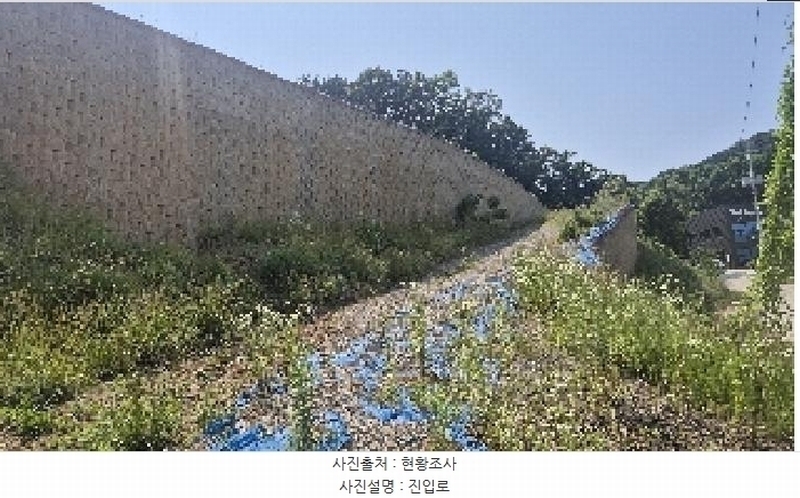 2025타경11809 충청남도 천안시 동남구 목천읍 삼성리 산51 임야 경매 이미지