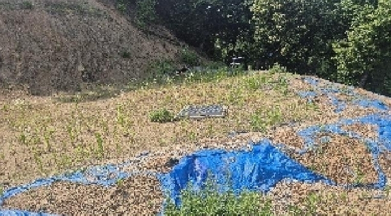 2025타경11809 충청남도 천안시 동남구 목천읍 삼성리 산51 임야 경매 이미지