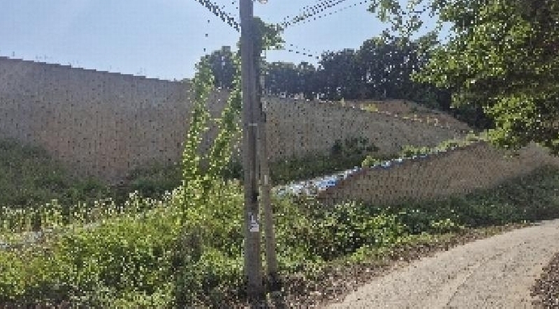 2025타경11809 충청남도 천안시 동남구 목천읍 삼성리 산51 임야 경매 이미지