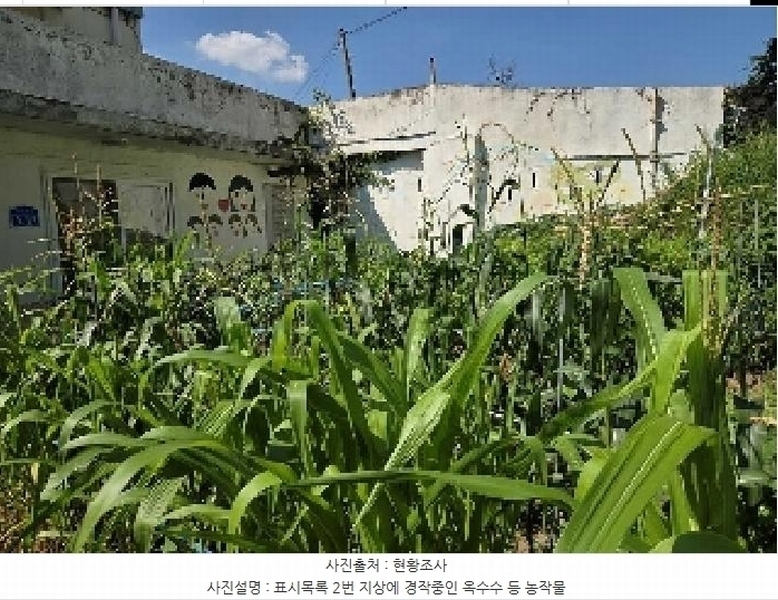 2025타경11956 충청남도 천안시 서북구 성거읍 천흥리 110-1 대지 경매 이미지