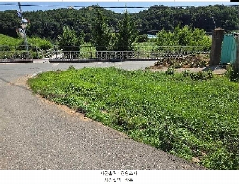 2025타경11956 충청남도 천안시 서북구 성거읍 천흥리 110-1 대지 경매 이미지