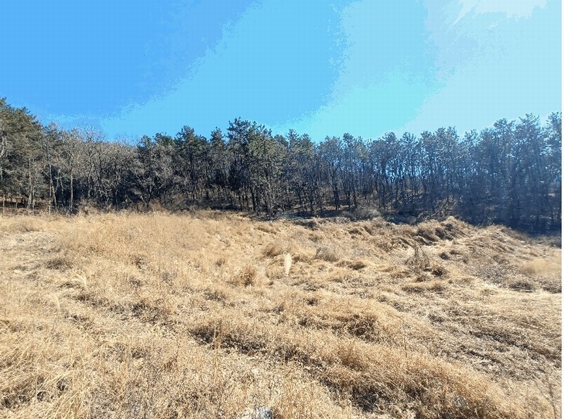 2025타경501 경상남도 사천시 실안동 산215 임야 경매 이미지