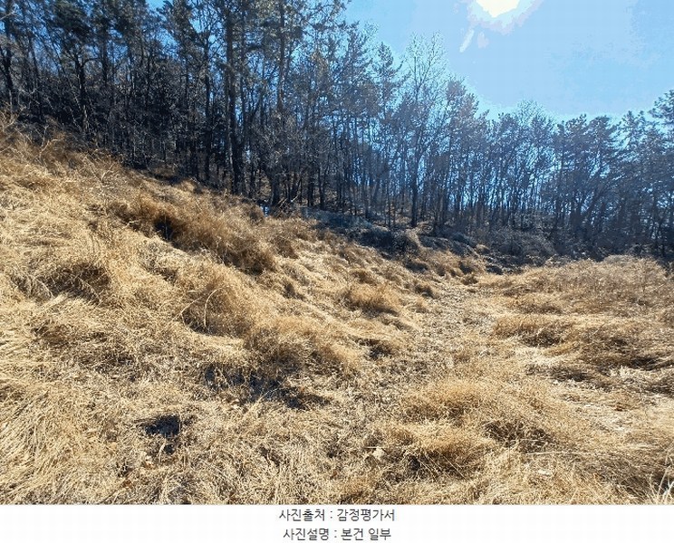 2025타경501 경상남도 사천시 실안동 산215 임야 경매 이미지