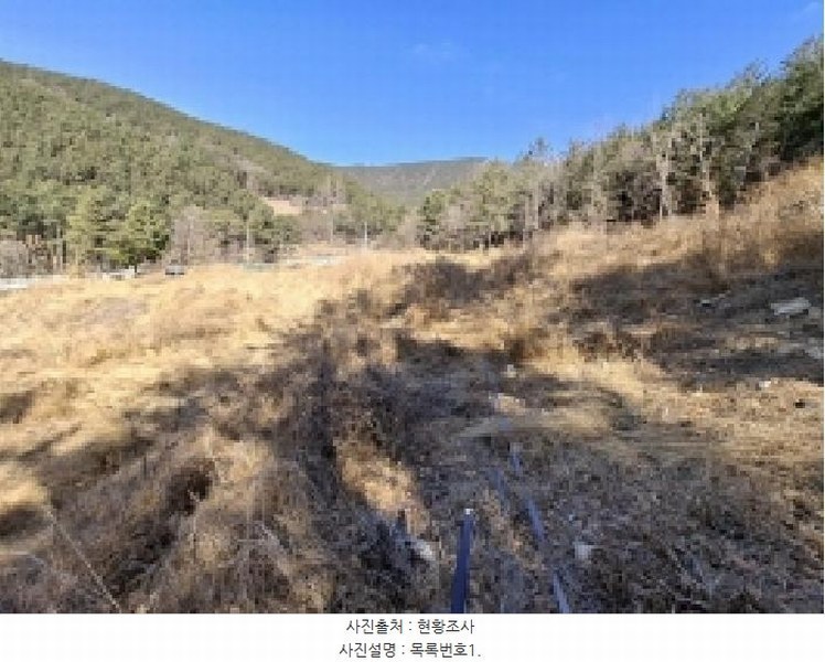 2025타경501 경상남도 사천시 실안동 산215 임야 경매 이미지