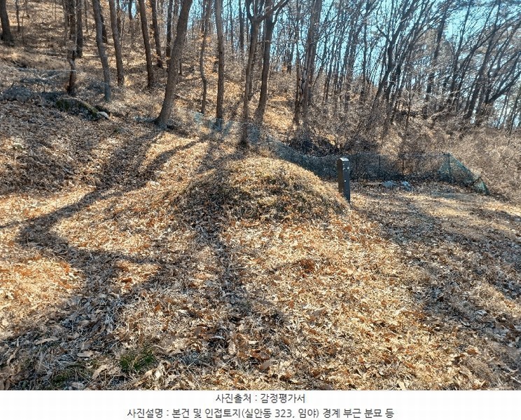 2025타경501 경상남도 사천시 실안동 산215 임야 경매 이미지