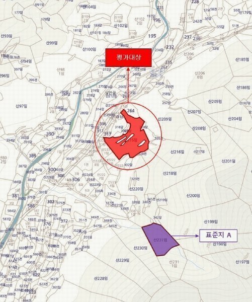 2025타경501 경상남도 사천시 실안동 산215 임야 경매 이미지