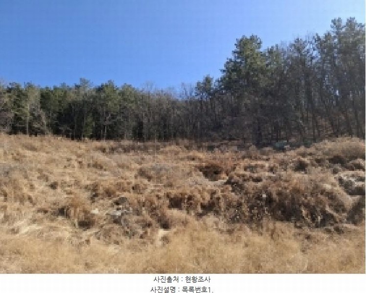 2025타경501 경상남도 사천시 실안동 산215 임야 경매 이미지