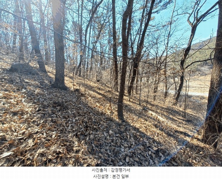 2025타경501 경상남도 사천시 실안동 산215 임야 경매 이미지