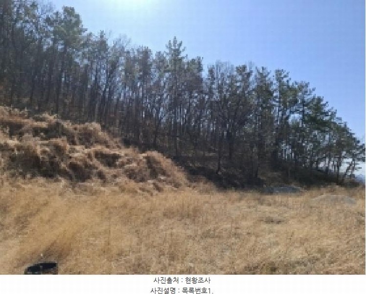2025타경501 경상남도 사천시 실안동 산215 임야 경매 이미지