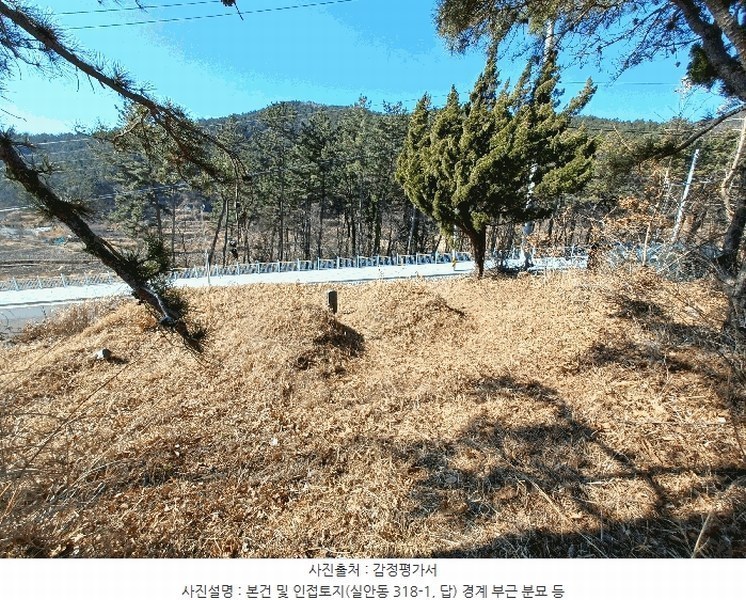 2025타경501 경상남도 사천시 실안동 산215 임야 경매 이미지