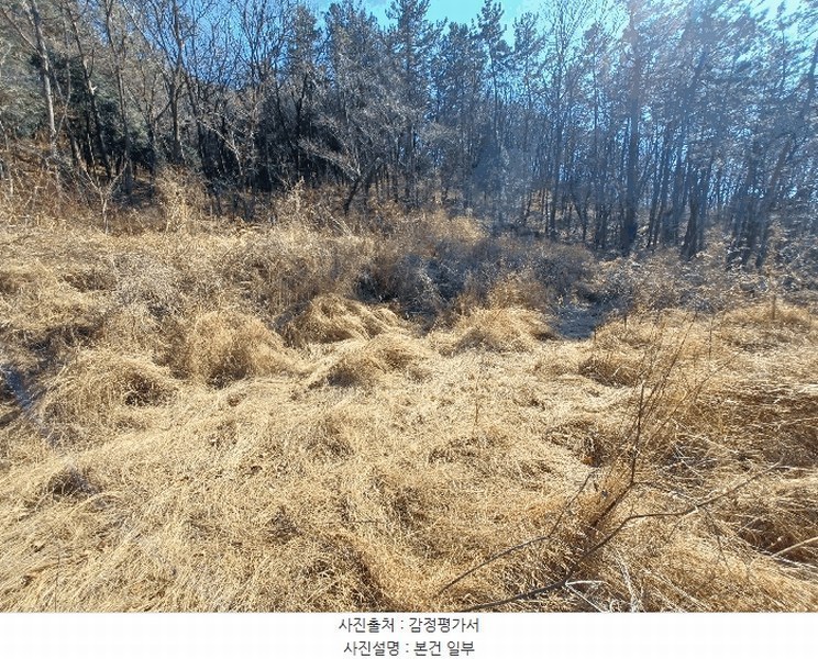 2025타경501 경상남도 사천시 실안동 산215 임야 경매 이미지