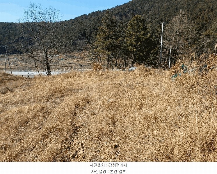 2025타경501 경상남도 사천시 실안동 산215 임야 경매 이미지