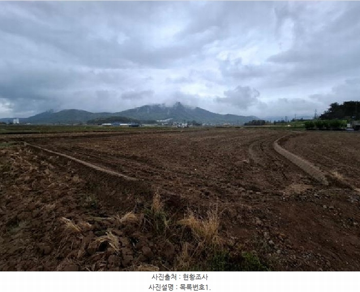 2025타경667 경상남도 사천시 향촌동 127-17 농지 경매 이미지