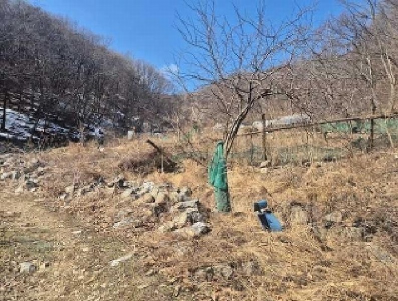 2025타경11205 충청남도 천안시 동남구 광덕면 보산원리 산147-21 임야 경매 이미지