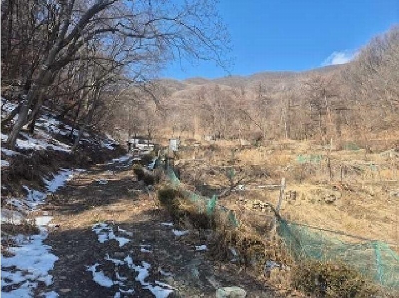 2025타경11205 충청남도 천안시 동남구 광덕면 보산원리 산147-21 임야 경매 이미지