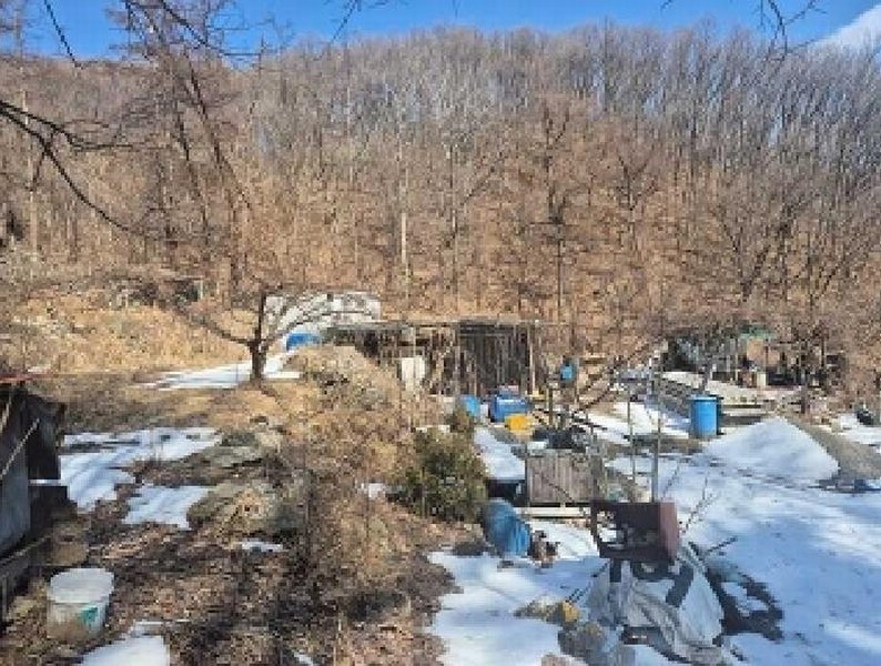 2025타경11205 충청남도 천안시 동남구 광덕면 보산원리 산147-21 임야 경매 이미지