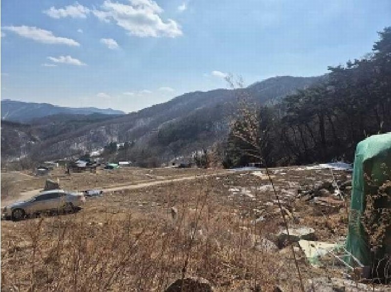 2025타경11205 충청남도 천안시 동남구 광덕면 보산원리 산147-21 임야 경매 이미지