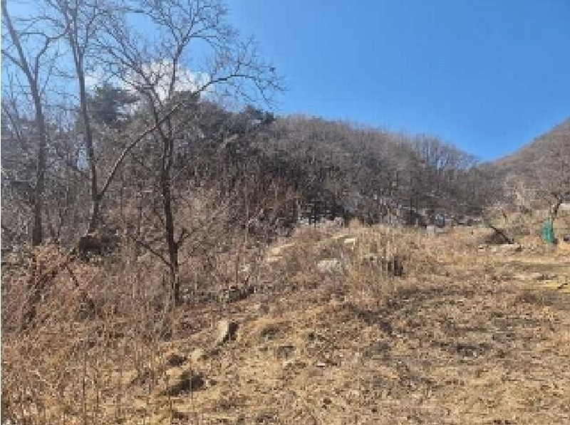 2025타경11205 충청남도 천안시 동남구 광덕면 보산원리 산147-21 임야 경매 이미지