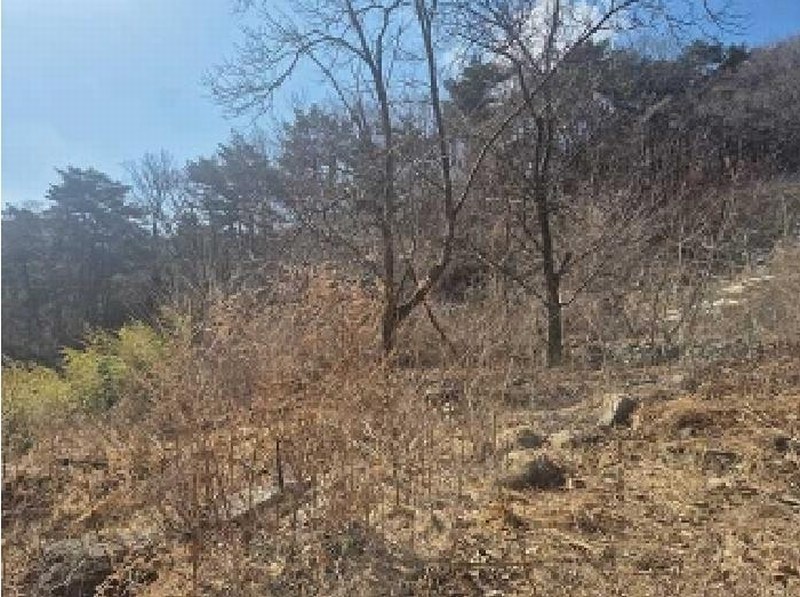 2025타경11205 충청남도 천안시 동남구 광덕면 보산원리 산147-21 임야 경매 이미지