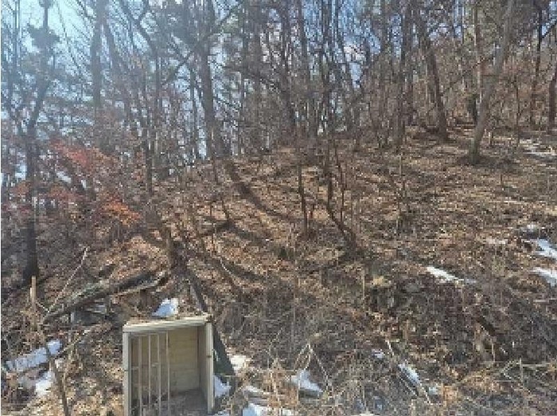 2025타경11205 충청남도 천안시 동남구 광덕면 보산원리 산147-21 임야 경매 이미지