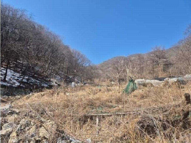 2025타경11205 충청남도 천안시 동남구 광덕면 보산원리 산147-21 임야 경매 이미지