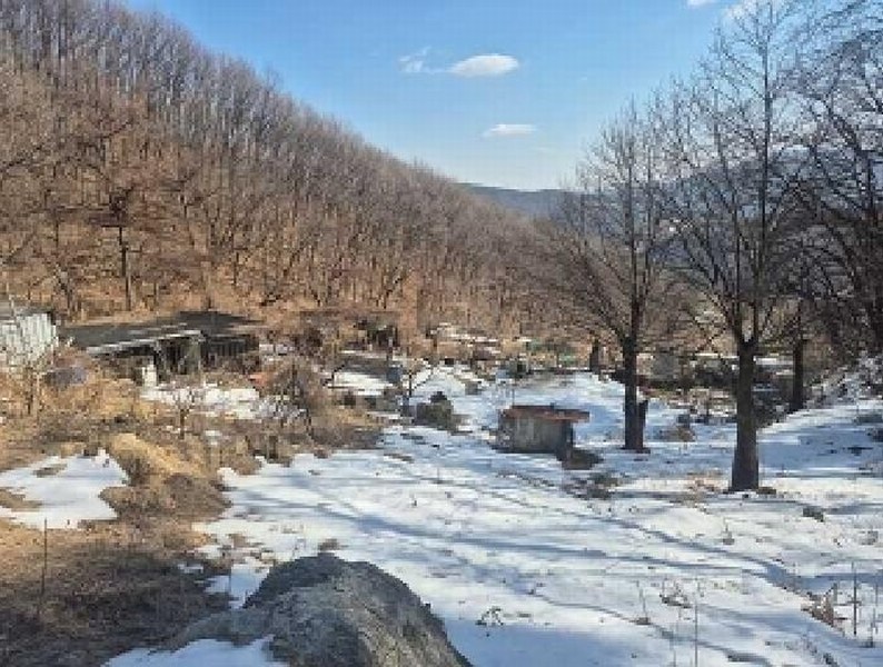 2025타경11205 충청남도 천안시 동남구 광덕면 보산원리 산147-21 임야 경매 이미지