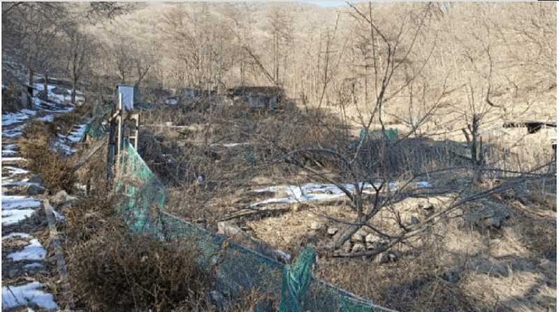 2025타경11205 충청남도 천안시 동남구 광덕면 보산원리 산147-21 임야 경매 이미지