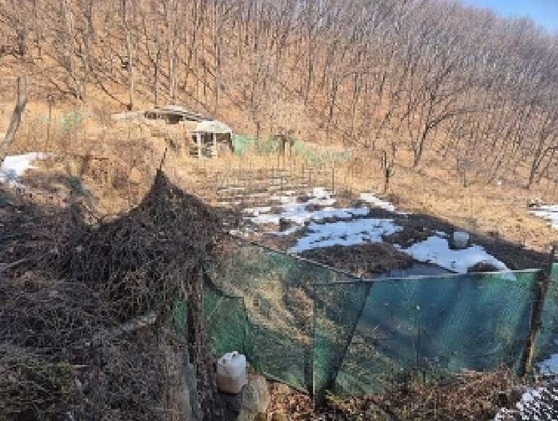 2025타경11205 충청남도 천안시 동남구 광덕면 보산원리 산147-21 임야 경매 이미지