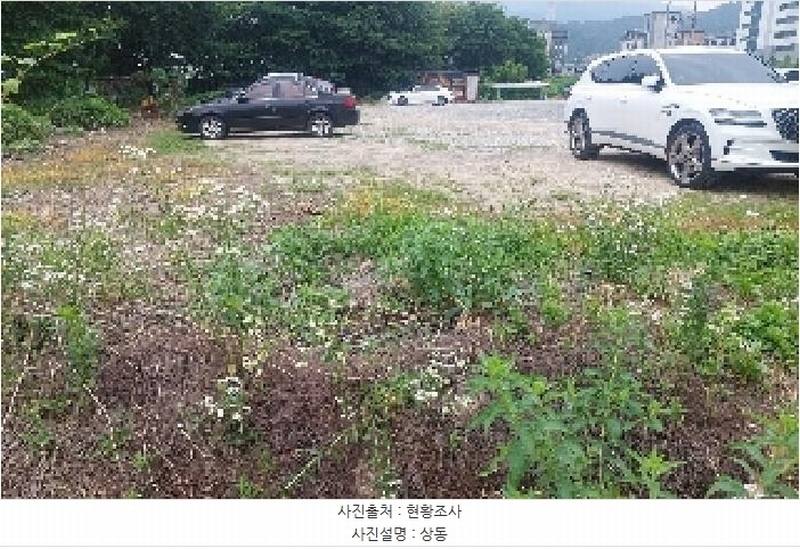 2025타경11847 충청남도 천안시 서북구 성거읍 천흥리 453 과수원 경매 이미지