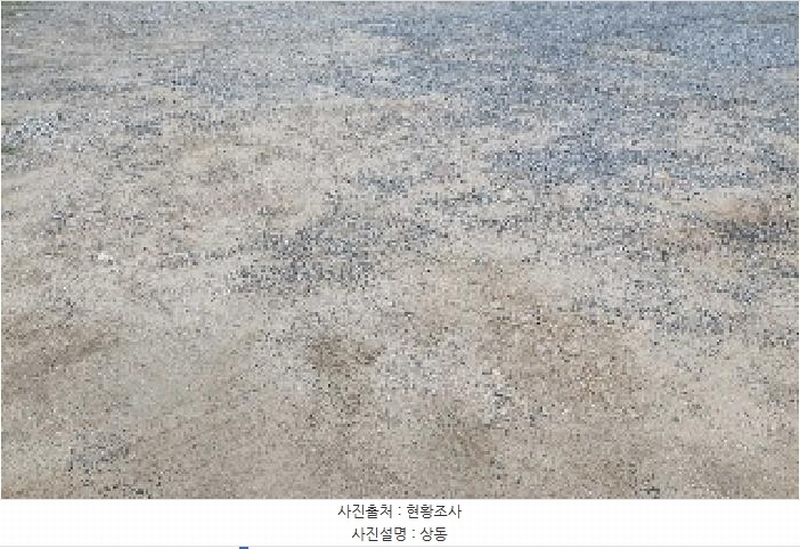 2025타경11847 충청남도 천안시 서북구 성거읍 천흥리 453 과수원 경매 이미지