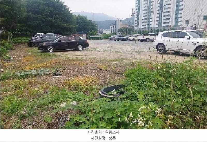 2025타경11847 충청남도 천안시 서북구 성거읍 천흥리 453 과수원 경매 이미지