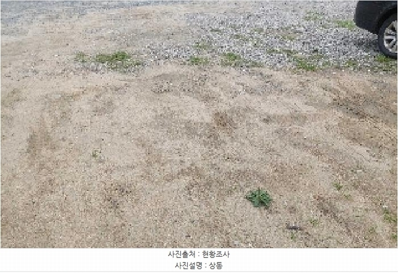 2025타경11847 충청남도 천안시 서북구 성거읍 천흥리 453 과수원 경매 이미지