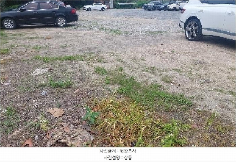 2025타경11847 충청남도 천안시 서북구 성거읍 천흥리 453 과수원 경매 이미지
