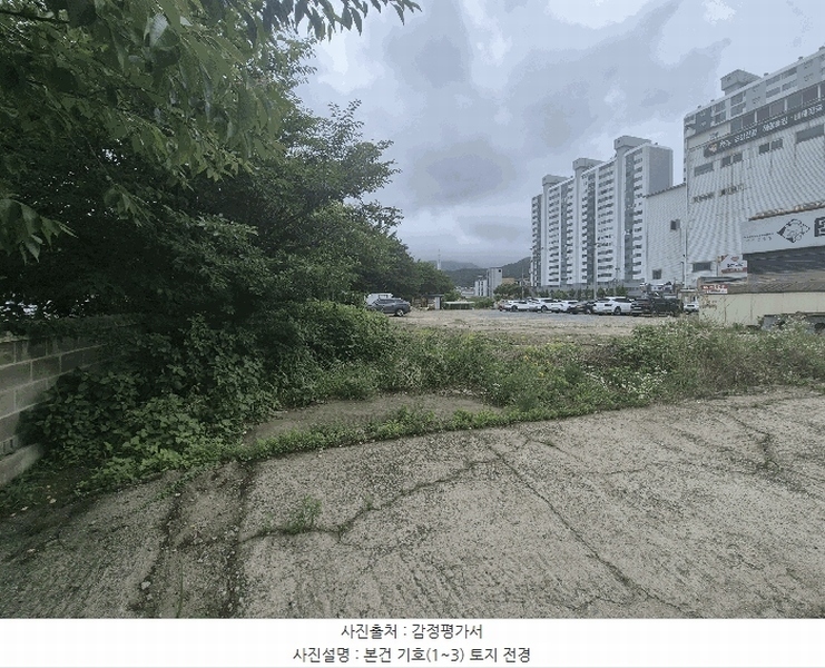 2025타경11847 충청남도 천안시 서북구 성거읍 천흥리 453 과수원 경매 이미지