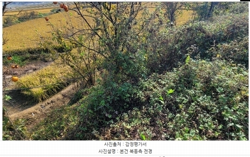 2024타경113645 충청남도 아산시 인주면 관암리 100-3 농지 경매 이미지