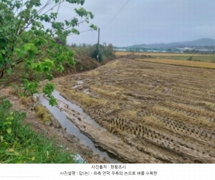 2024타경113645 충청남도 아산시 인주면 관암리 100-3 농지 경매 이미지