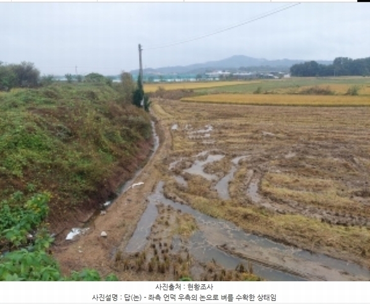 2024타경113645 충청남도 아산시 인주면 관암리 100-3 농지 경매 이미지