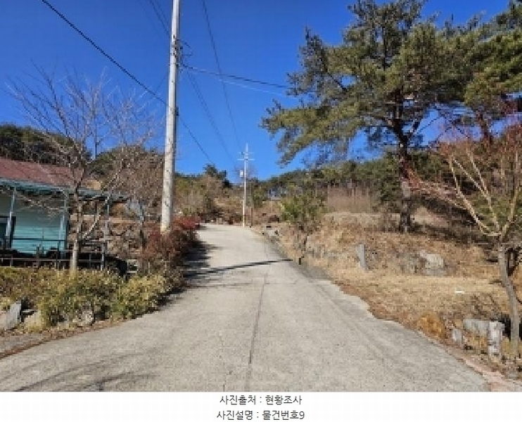 2025타경502 경상남도 산청군 단성면 운리 산98-30 임야 경매 이미지