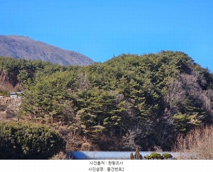 2025타경502 경상남도 산청군 단성면 운리 산98-30 임야 경매 이미지