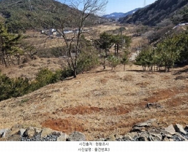 2025타경502 경상남도 산청군 단성면 운리 산98-30 임야 경매 이미지