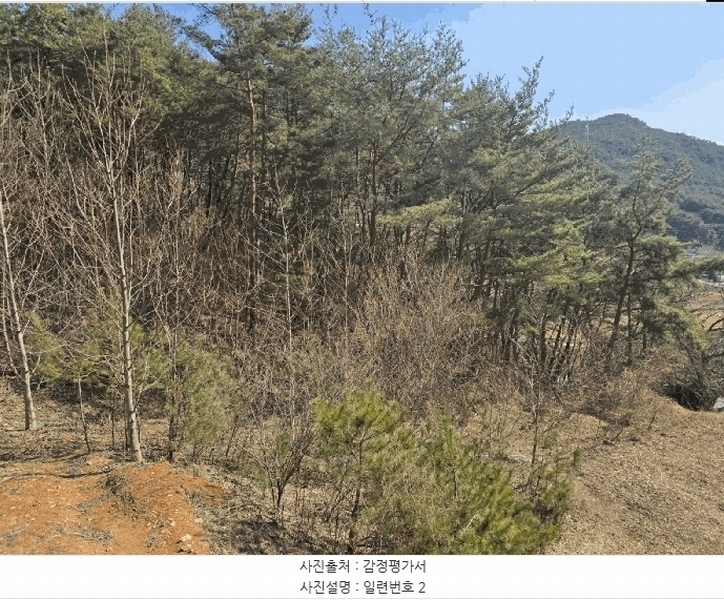 2025타경502 경상남도 산청군 단성면 운리 산98-30 임야 경매 이미지