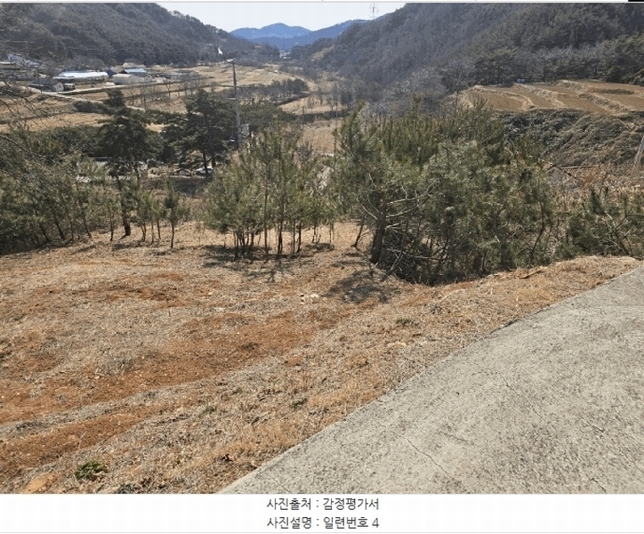 2025타경502 경상남도 산청군 단성면 운리 산98-30 임야 경매 이미지