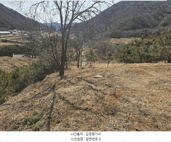 2025타경502 경상남도 산청군 단성면 운리 산98-30 임야 경매 이미지