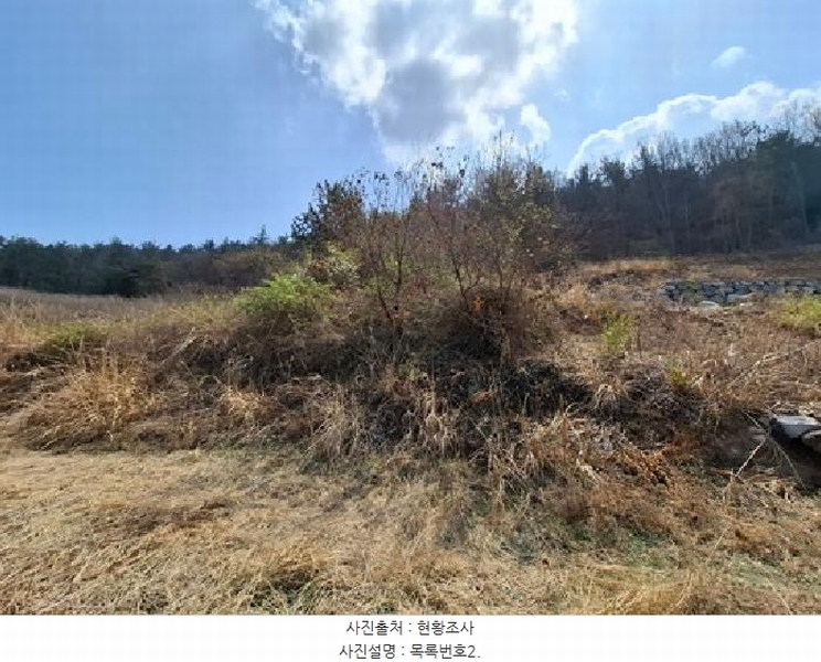2025타경609 경상남도 남해군 창선면 율도리 산48-2 임야 경매 이미지
