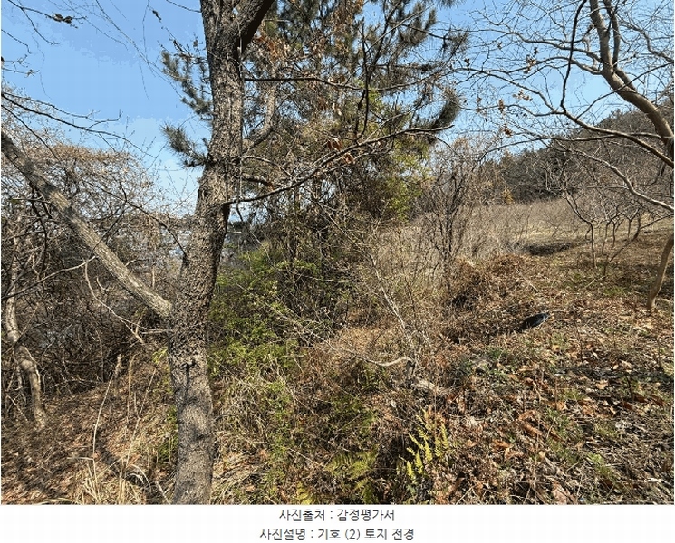 2025타경609 경상남도 남해군 창선면 율도리 산48-2 임야 경매 이미지