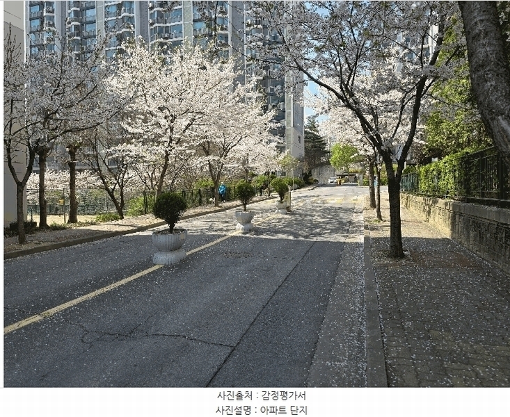 2025타경11489 충청남도 천안시 서북구 봉서산샛길 65, 주공아파트 410동 2층 205호 아파트[공급23평형] 경매 이미지
