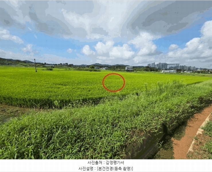 2025타경12254 충청남도 천안시 동남구 구룡동 252-3 농지 경매 이미지